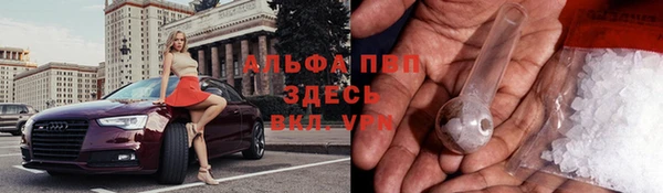 молекула духа Магас
