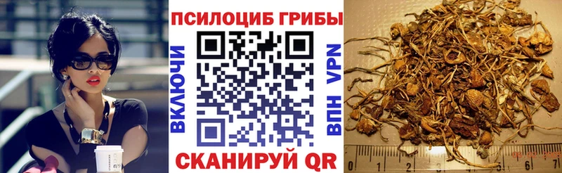 Галлюциногенные грибы Magic Shrooms  купить   Алапаевск 